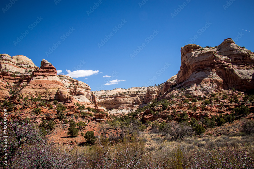 Sandstone of Southern Utah