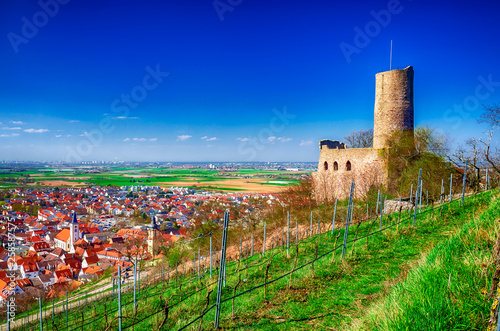 Strahlenburg in Schriesheim an der Bergstraße, Odenwald, Baden-Württemberg photo