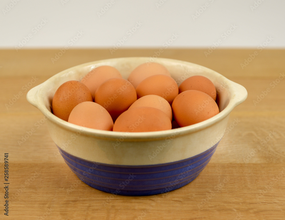 Farm Fresh Organic Free Range Eggs in Blue and White Bowl on Farm Table. Farm to Table. Farm Fresh Organic Free Range Eggs in Blue and White Bowl on Farm Table. Farm to Table.