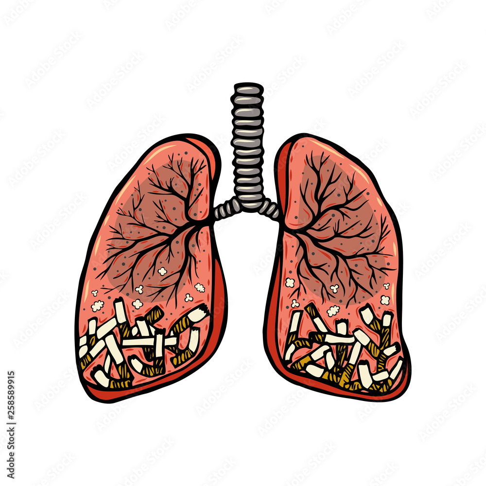 Human Lungs Icon. Cartoon Color Image. Isolated Vector on a White  Background. Stock Vector - Illustration of network, symbol: 178702194
