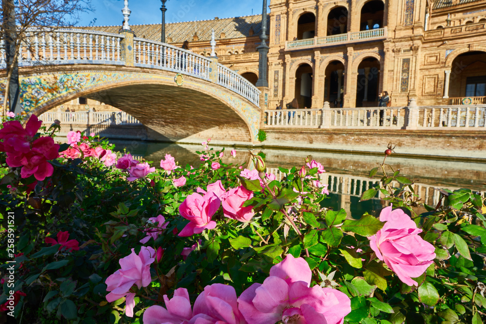 Obraz premium Flowers at Spain Square, Seville, Spain