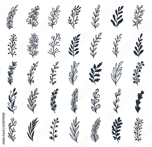 Floral set of hand drawn botanic  elements. Branches  leaves  flowers. Perfect for invitations  greeting cards design  fabric etc. Vector illustration