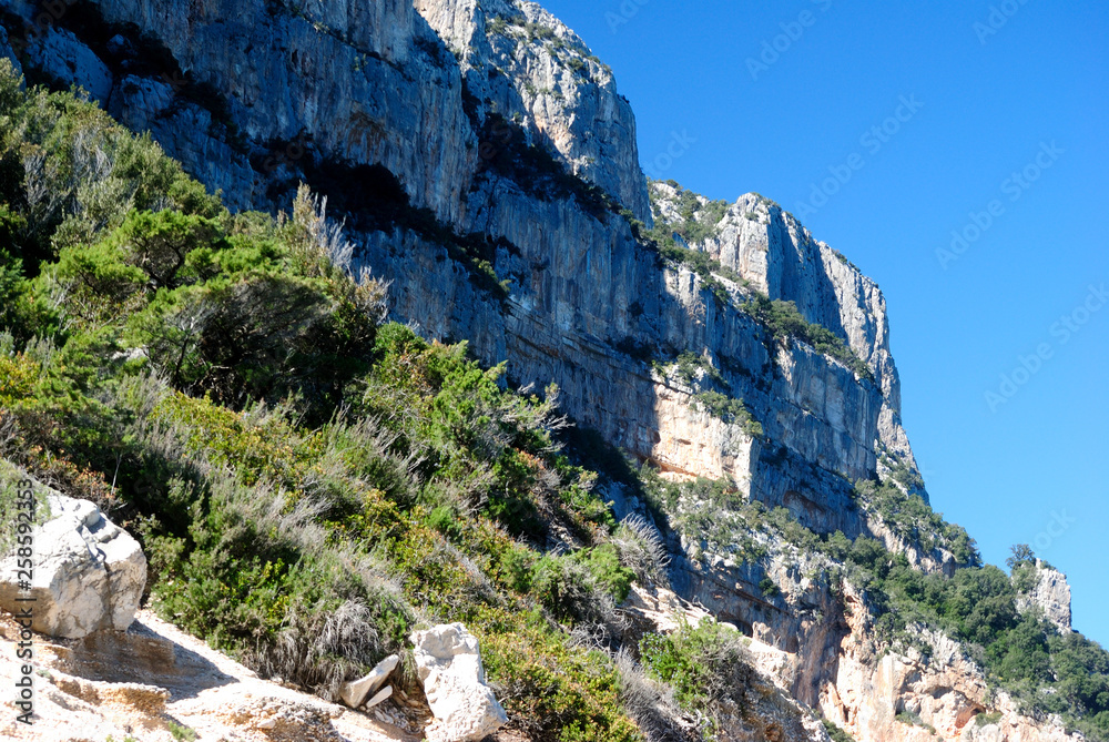 Naklejka premium La costa di Cala Goloritzè