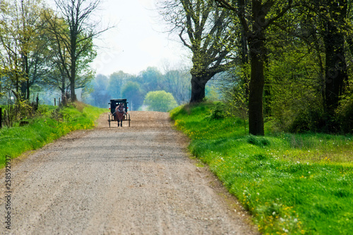 Amish Buggy on Gravel Road