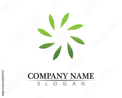 Tree leaf vector logo design  eco-friendly concept.