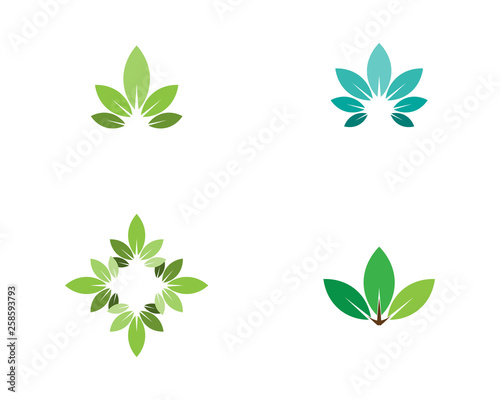 Tree leaf vector logo design, eco-friendly concept.