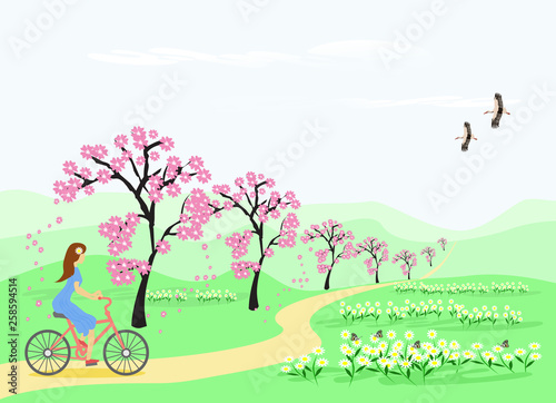 The blue skirt woman is riding a bicycle along the path in the flower garden and the cherry tree. With a white sky as the background