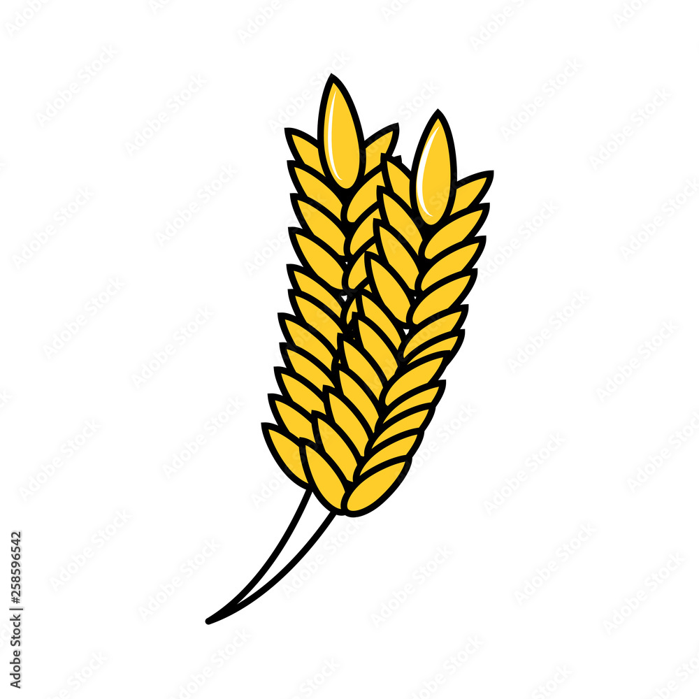 spike rice isolated icon spike rice isolated icon
