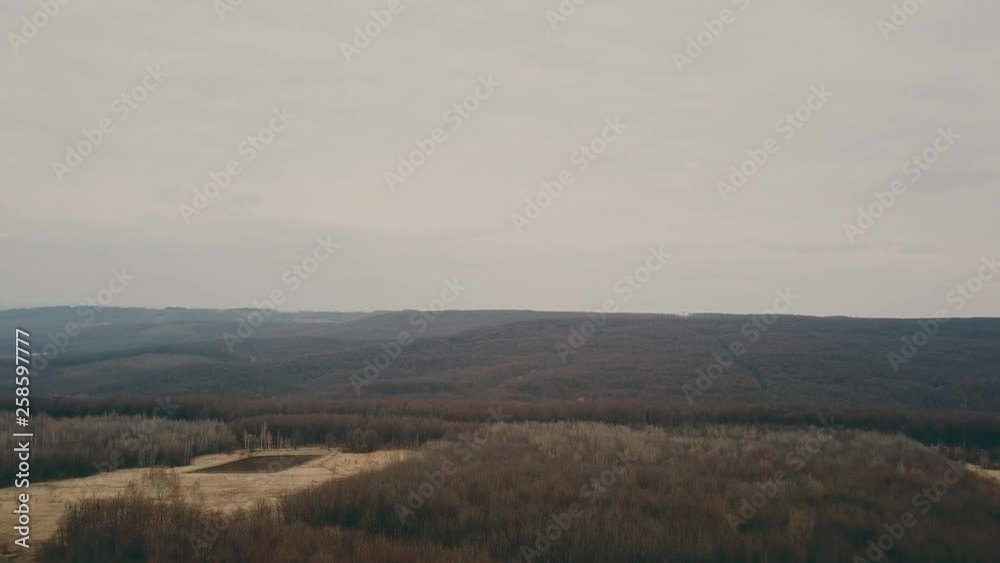 dirt road in the forest