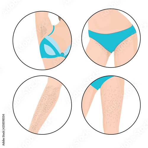 Hair removal zones vector illustration