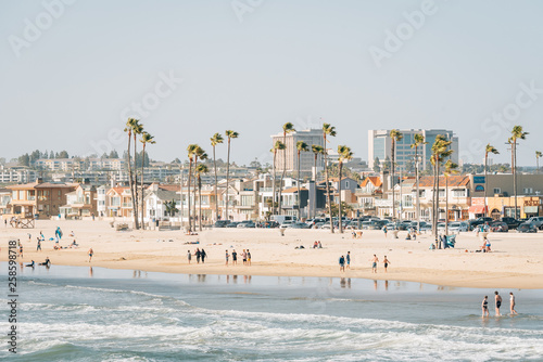 Obraz na płótnie View of the beach in Newport Beach, Orange County, California w salonie