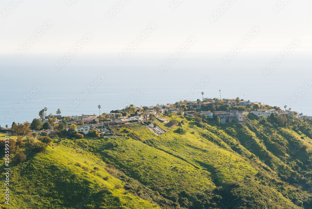 View of houses, green hills, and the Pacific Ocean from Top of the World, in Laguna Beach, California