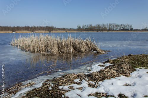 Snow on the shore of the lake and a clump of reeds. Horizon and blue sky