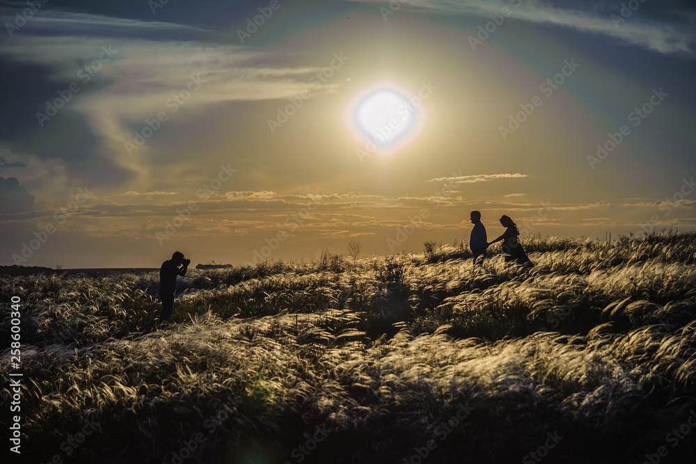 Silhouettes of a guy with a girl in a feather grass against the sunset.