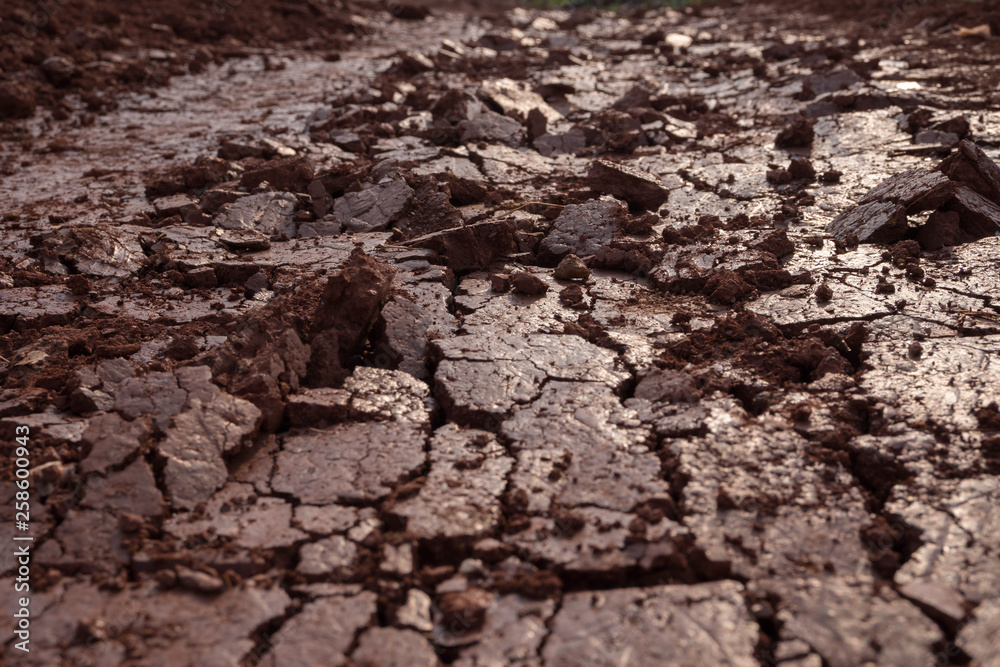 Crack and broken red land because heavy transportation Crack and broken red land because heavy transportation
