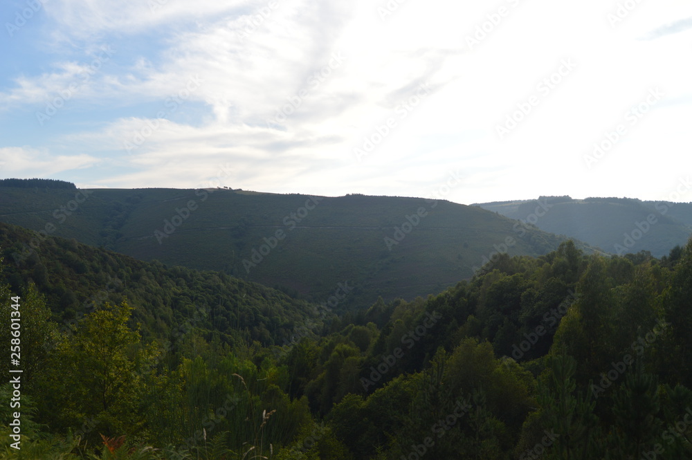 Large Galician Forests Full Of Pines And Eucalyptus In The Mountains Near Navia De Suarna. Nature, Architecture, History, Street Photography. August 23, 2014. Navia De Suarna, Lugo, Galicia, Spain.