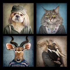 Animals in clothes on vintage style. People with heads of animals. Concept graphic, photo manipulation for cover, advertising, prints on clothing and other.
