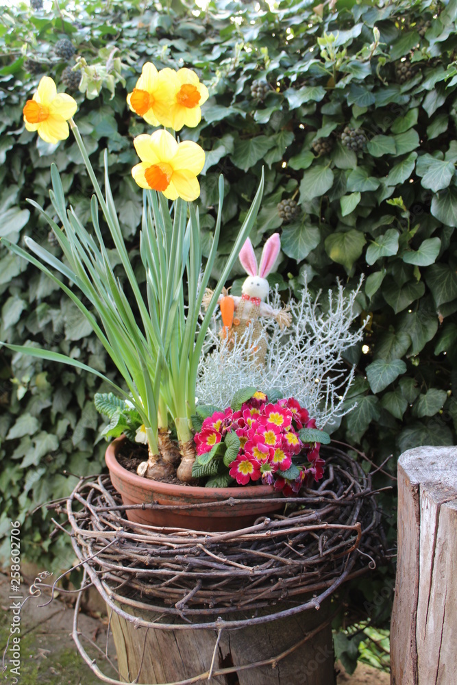 Blumentopf mit Osterdekoration und Primel und Narzisse