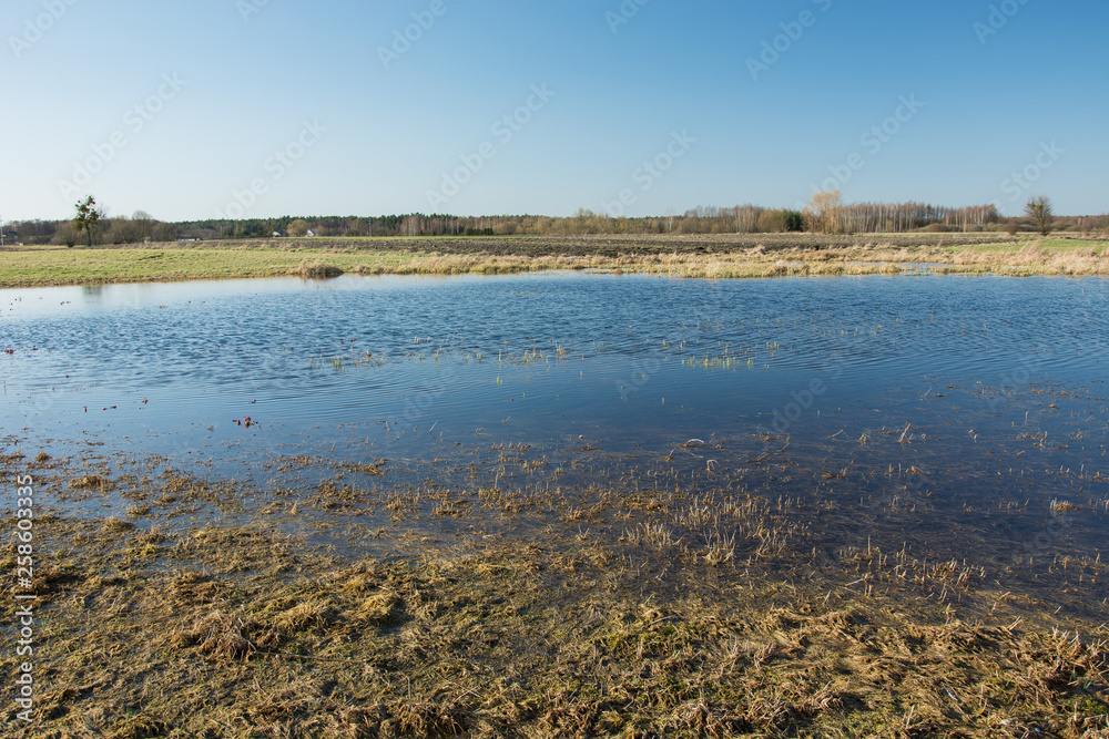 A large meadow covered with water after rain and blue sky