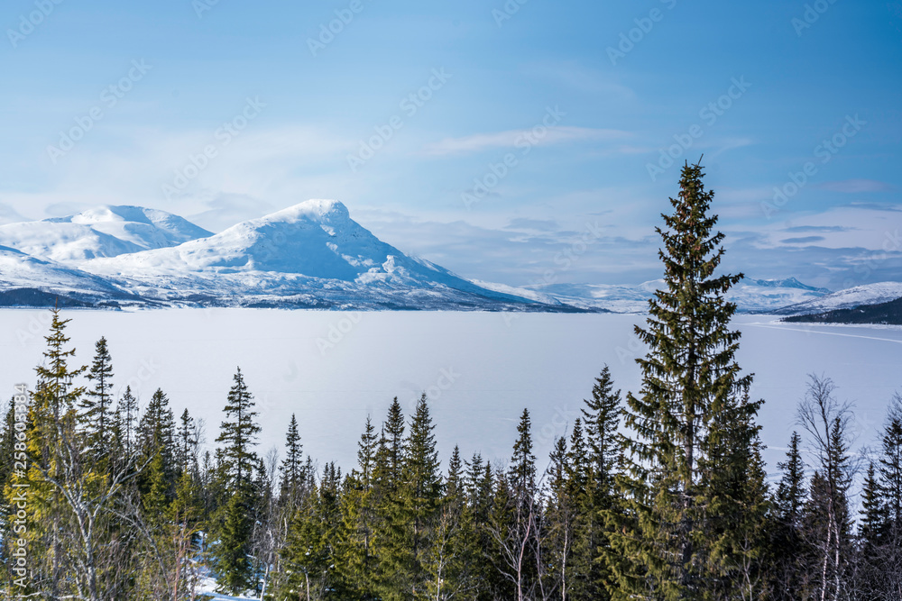 Scandinavian mountain range covered by ice and snow, frozen lake, blue skies, pine forest