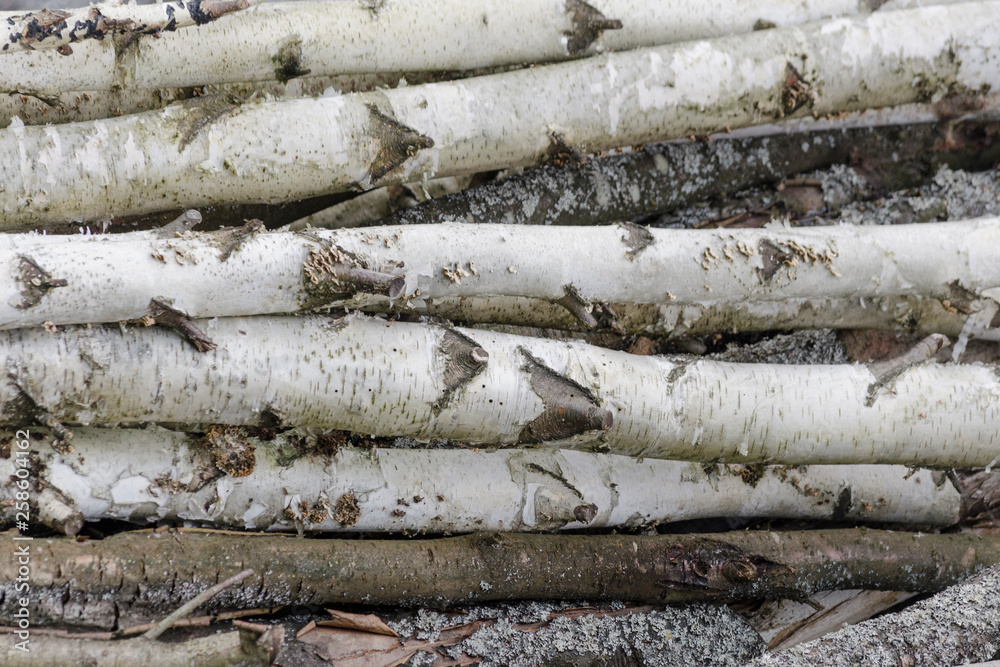 Stacks wood timber background. Pile of wood logs storage for industry. Saws cut wood logs. Wood texture background.