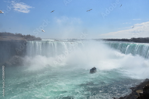Bird Flying over Niagara falls 