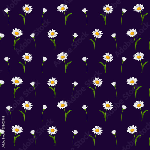 Chamomile flowers with green stem and leaves on a dark-blue background 