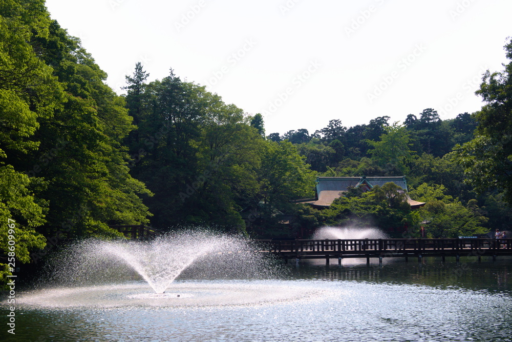 bridge over the river