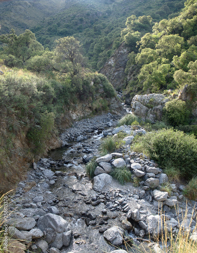 The view at Reserva Florofaunistica reserve in Merlo, San Luis, Argentina. photo