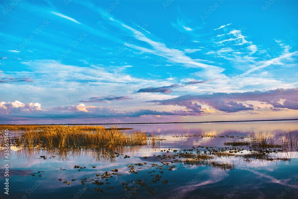 Fototapeta premium Lakeside