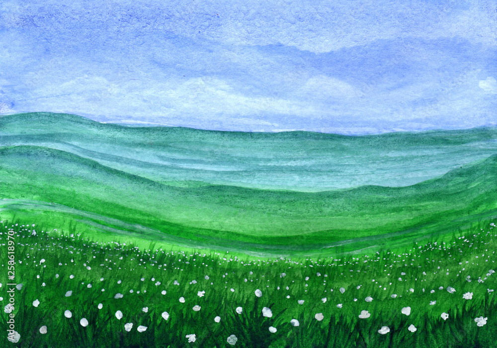 Green grass field with white flowers in watercolor - obrazy, fototapety, plakaty 