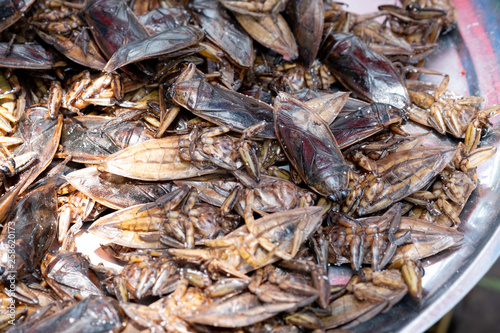Lethocerus, Pimpa, Giant water bug as food in the local market Thailand.