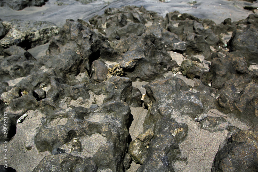 Fototapeta premium Sand texture from receiding water on a tropical beach