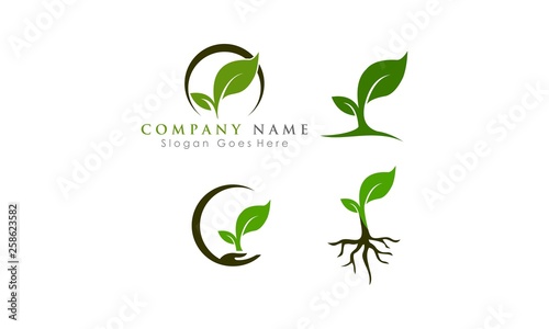 green leaf logo set