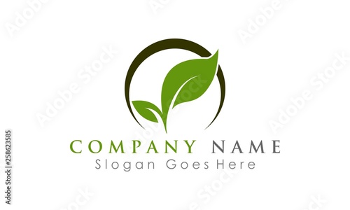 ecology leaf logo