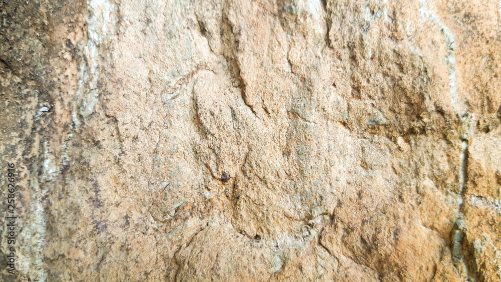 Naklejka premium The pattern of stones in various forms that occur naturally.