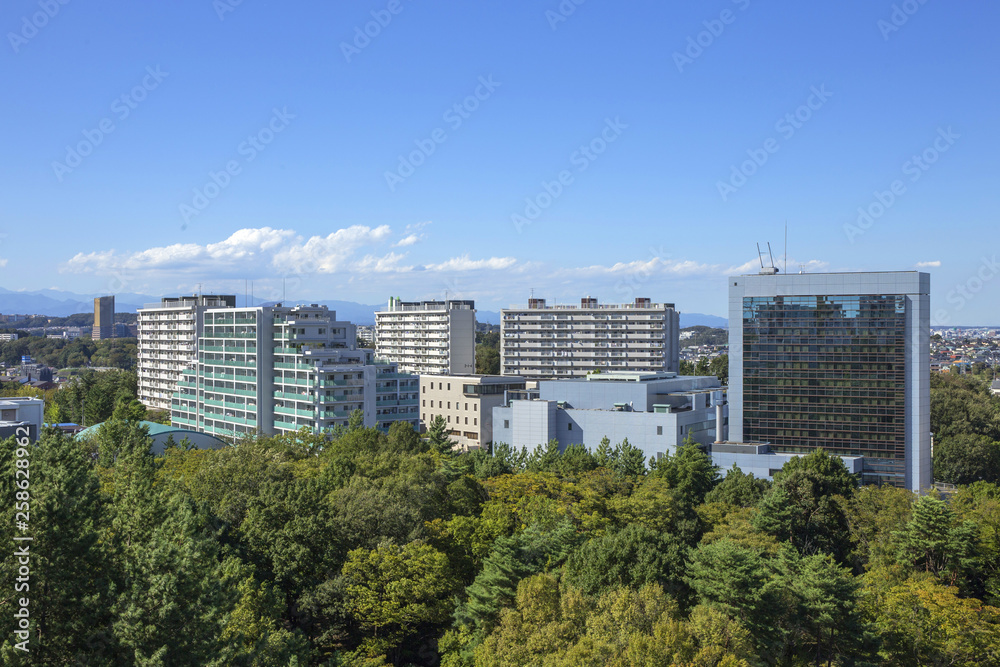 東京の団地