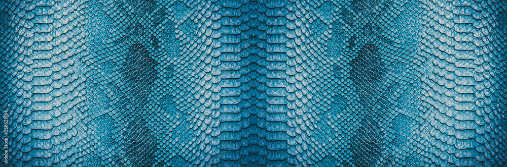 Snake skin background. Panoramic web banner with copy space.