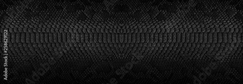 Snake skin background. Panoramic web banner with copy space.