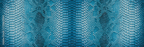 Obraz na płótnie Snake skin background. Panoramic web banner with copy space. w salonie