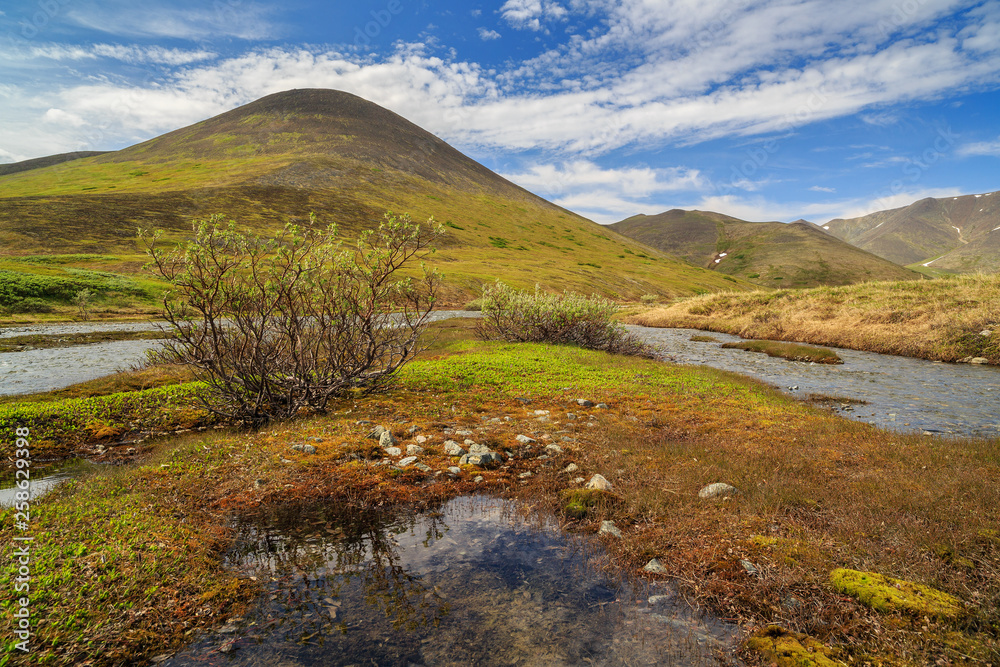 Summer landscape with a mountain stream. The beautiful northern nature of the Arctic. The slopes of the hills covered with tundra. Nice sunny weather. Golden Ridge, Chukotka, Siberia, Far East Russia.