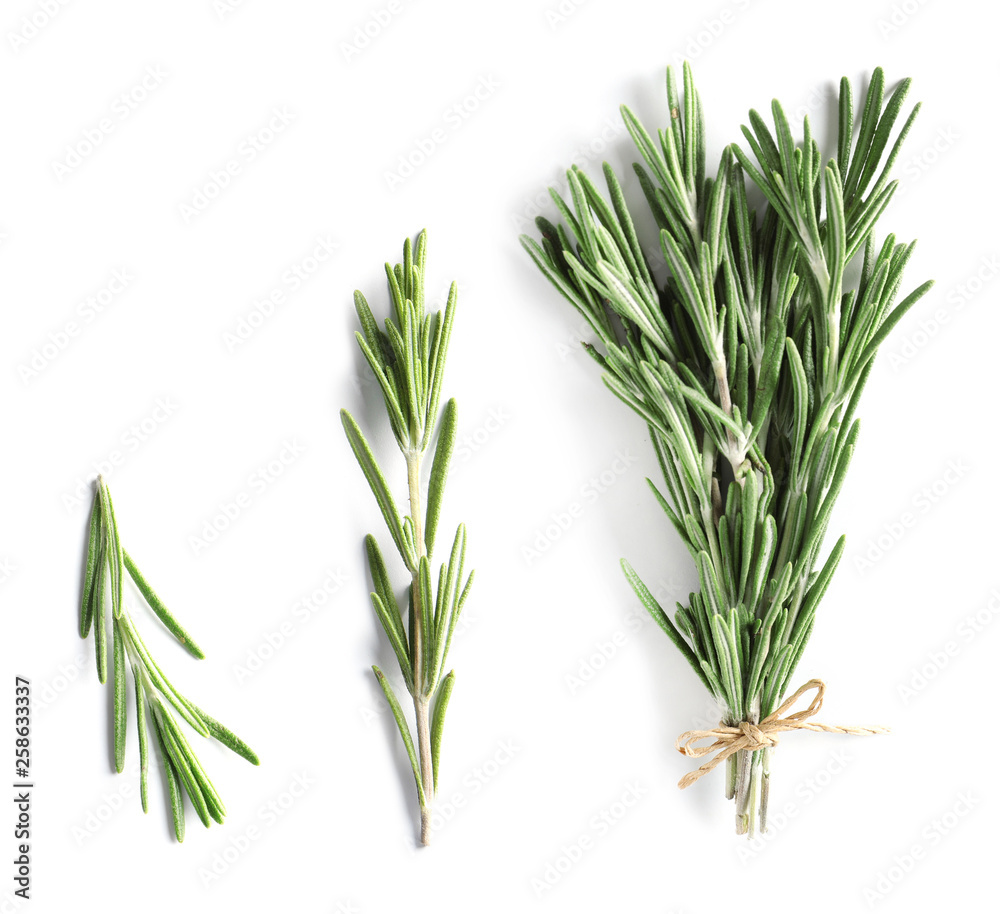 Fototapeta premium Set of fresh rosemary twigs on white background, top view