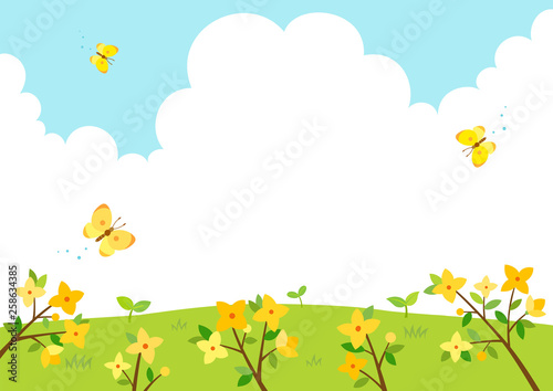 Forsythia flowers with butterflies.Spring background