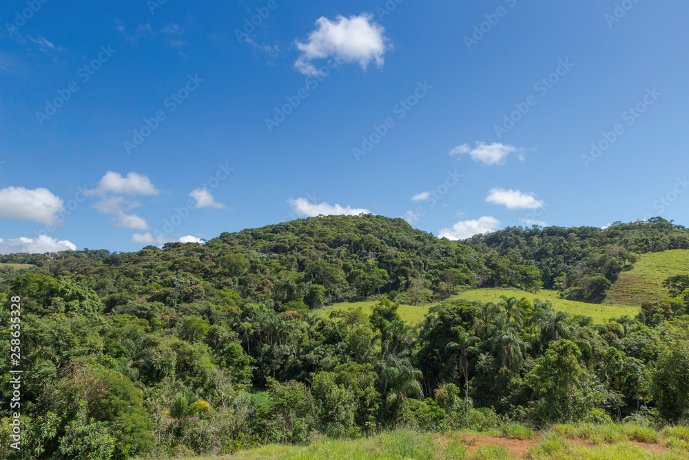 Vista de área de preservada da Mata Atlântica no município de Guarani, estado de Minas Gerais, Brasil