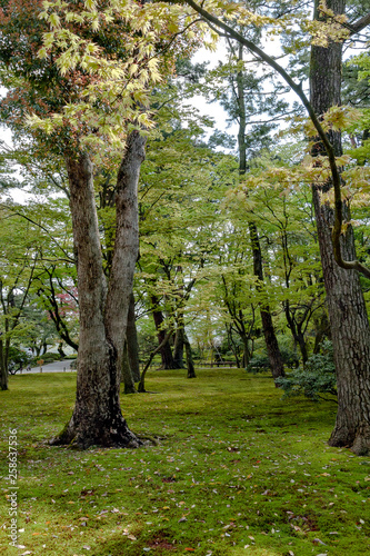 Japanese garden at Kenrokuen in Kanazawa  Japan