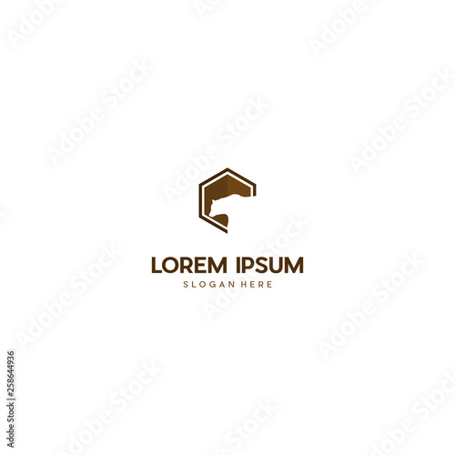 Modern simple hexagon bear logo, Geometric hexagon bear logo vector template