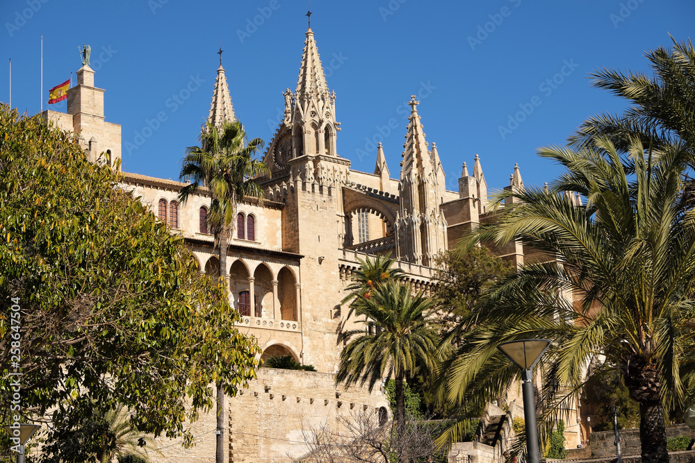Palma Mallorca cathedral Santa Maria La Seu side view palm trees Palma Mallorca cathedral Santa Maria La Seu side view palm trees
