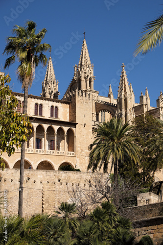 Palma Mallorca cathedral Santa Maria La Seu side view vertical