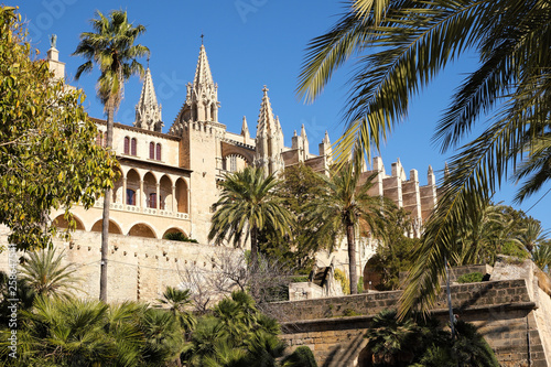 Palma Mallorca cathedral Santa Maria La Seu side view city wall