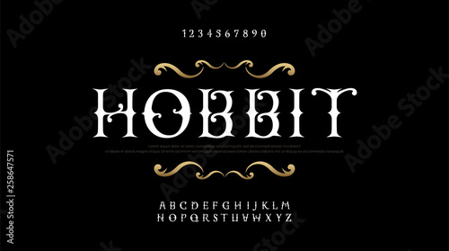 Vintage elegant alphabet letters serif fonts set. Exclusive old lettering typography font classic style. Vector illustration